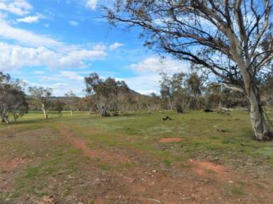 Farm For Sale - NSW - Carlaminda - 2630 - 120 Acres on The River  (Image 2)