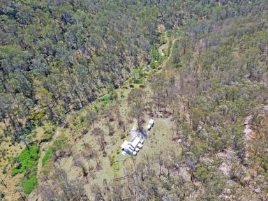 Farm For Sale - NSW - Laguna - 2325 - Beautiful 40 Acre Bushland Retreat and Studio  (Image 2)