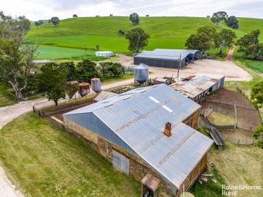 Farm Sold - SA - Harrogate - 5244 - 'Millbrae' - livestock/cropping enterprise on 7 freehold titles covering 271ha (670acs).  (Image 2)