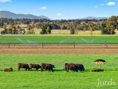 Farm Sold - NSW - Whittingham - 2330 - YURALLA PARK - HUNTER VALLEY  (Image 2)