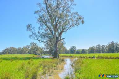 Farm For Sale - VIC - Whorouly - 3735 - 108 Acres with Ovens River Frontage  (Image 2)