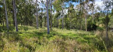 Farm Sold - QLD - Moolboolaman - 4671 - 25 Acres with 2 dams and with 150 Citrus trees.  (Image 2)