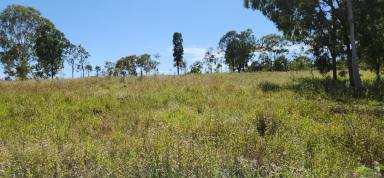 Farm Sold - QLD - Moolboolaman - 4671 - 25 Acres with 2 dams and with 150 Citrus trees.  (Image 2)