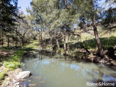 Farm Sold - NSW - Sofala - 2795 - RELAXING 123-ACRE RETREAT  (Image 2)