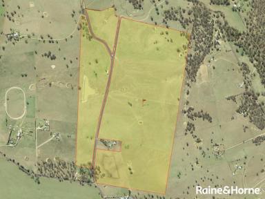 Farm For Sale - NSW - Glanmire - 2795 - 303 ACRES OF PICTURESQUE COUNTRYSIDE  (Image 2)