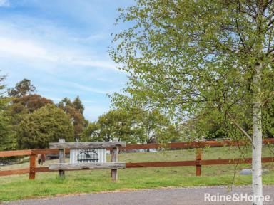 Farm For Sale - NSW - Meadow Flat - 2795 - "LAWSON HILL"  (Image 2)