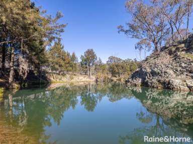 Farm Sold - NSW - Peel - 2795 - 40-ACRES ON THE WINBURNDALE RIVULET  (Image 2)