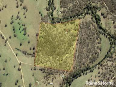 Farm Sold - NSW - Peel - 2795 - 40-ACRES ON THE WINBURNDALE RIVULET  (Image 2)