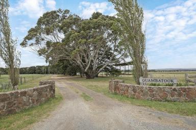 Farm Sold - VIC - Winchelsea - 3241 - MAGNIFICENT HISTORIC WINCHELSEA TOWNSHIP FRINGE PROPERTY  (Image 2)