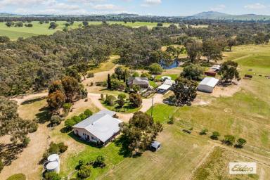 Farm Sold - VIC - Maroona - 3377 - Quality Income Producing Lifestyle Property  (Image 2)