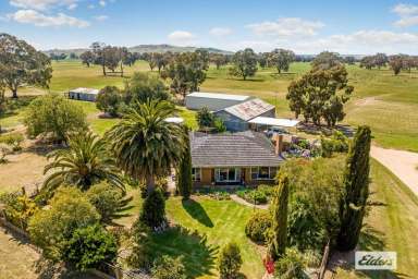 Farm Sold - VIC - Maroona - 3377 - Quality Income Producing Lifestyle Property  (Image 2)