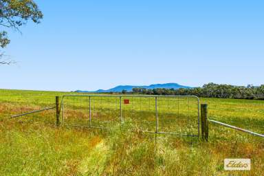 Farm For Sale - VIC - Moyston - 3377 - Rural Living Allotments from 9 Acres - Grampians Views  (Image 2)