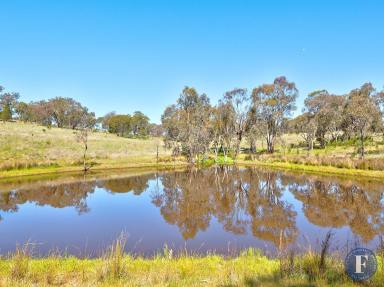 Farm For Sale - NSW - Crowther - 2803 - Quiet Location, Rural Surrounds  (Image 2)