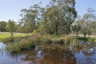 Farm For Sale - VIC - Ruffy - 3666 - Welcome to Your Perfect Off-Grid Oasis in Ruffy!  (Image 2)