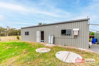 Farm Sold - WA - Kendenup - 6323 - Escape to the Country!  (Image 2)