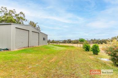 Farm Sold - WA - Kendenup - 6323 - Escape to the Country!  (Image 2)
