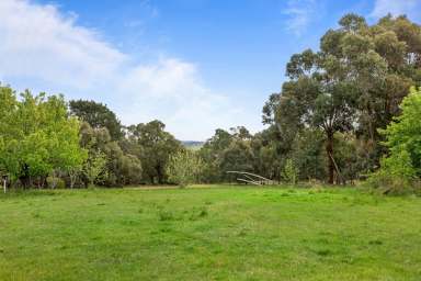 Farm For Sale - VIC - Linton - 3360 - Linton views  (Image 2)