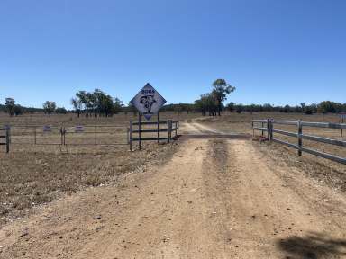 Farm Sold - QLD - Jackson North - 4426 - Additional Area With Dry Feed  (Image 2)