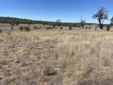 Farm Sold - QLD - Jackson North - 4426 - Additional Area With Dry Feed  (Image 2)