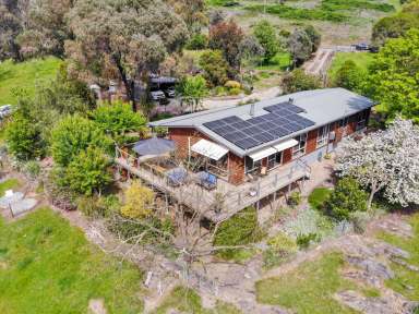 Farm For Sale - NSW - Adelong - 2729 - Adelong Creek Frontage  (Image 2)