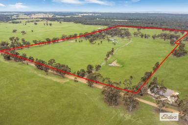 Farm Sold - VIC - Llanelly - 3551 - Perfect Lifestyle Property, Modern Transformation, 82.83 Ac / 33.52 Ha  (Image 2)