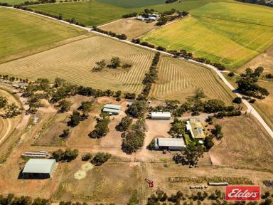 Farm Sold - SA - Concordia - 5118 - UNDER CONTRACT BY JEFF LIND  (Image 2)