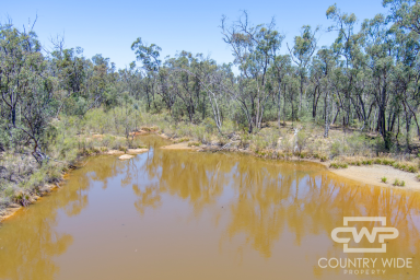 Farm For Sale - NSW - Gilgai - 2360 - Discover the Ultimate Lifestyle Paradise  (Image 2)