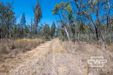 Farm For Sale - NSW - Gilgai - 2360 - Discover the Ultimate Lifestyle Paradise  (Image 2)
