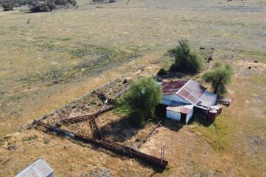 Farm For Sale - NSW - Forbes - 2871 - 1,117ACRE IDEAL MIXED FARMING & GRAZING OPPORTUNITY!  (Image 2)