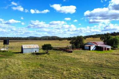 Farm Sold - NSW - Forbes - 2871 - 1,117ACRE IDEAL MIXED FARMING & GRAZING OPPORTUNITY!  (Image 2)