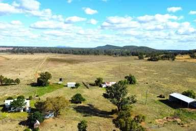 Farm Sold - NSW - Forbes - 2871 - 1,117ACRE IDEAL MIXED FARMING & GRAZING OPPORTUNITY!  (Image 2)