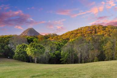 Farm Sold - QLD - Black Mountain - 4563 - Magnificent 5 Acre Oasis in the Noosa Hinterland  (Image 2)