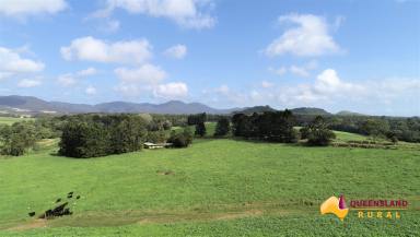 Farm For Sale - QLD - East Barron - 4883 - BUNDELLA - North Qld  (Image 2)