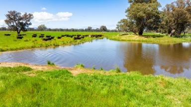 Farm For Sale - VIC - Londrigan - 3678 - Central Location - Grazing, Cropping, Development  (Image 2)