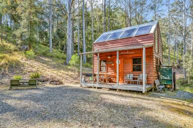 Farm For Sale - NSW - Singleton - 2330 - CARROWBROOK - "Your Own Piece Of Paradise"  (Image 2)