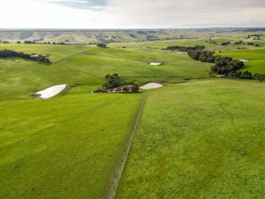 Farm For Sale - VIC - Merino - 3310 - Mungala  505.20 Acres - 204.45 Ha approx.  (Image 2)