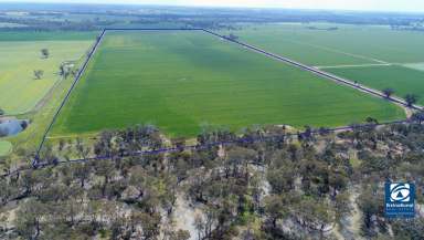 Farm Sold - VIC - Numurkah - 3636 - FARMING/CROPPING WITH CREEK FRONTAGE  (Image 2)