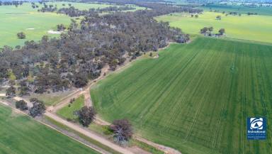Farm Sold - VIC - Numurkah - 3636 - FARMING/CROPPING WITH CREEK FRONTAGE  (Image 2)
