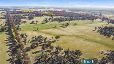 Farm For Sale - VIC - Toolleen - 3551 - Exceptional Farming Opportunity - 437 Acres  (Image 2)