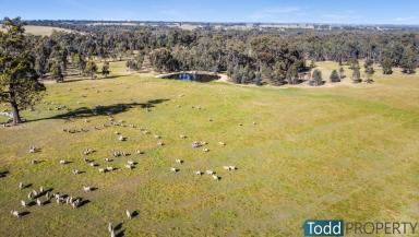 Farm For Sale - VIC - Toolleen - 3551 - Exceptional Farming Opportunity - 437 Acres  (Image 2)