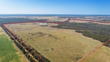 Farm Sold - NSW - Balladoran - 2831 - Great Starter Block, only 57km from Dubbo.  (Image 2)
