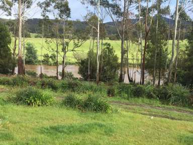 Farm For Sale - TAS - Upper Scamander - 7215 - LIFESTYLE CHANGE - RURAL PROPERTY  (Image 2)