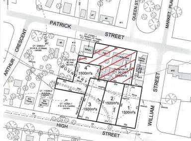 Farm For Sale - TAS - Bothwell - 7030 - LARGE VACANT ALLOTMENT WITH SUB-DIVISION POTENTIAL (STCA)  (Image 2)