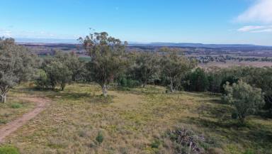 Farm For Sale - NSW - Quirindi - 2343 - 4.9 ACRES, QUIET BUSHLAND LOCATION & SPECTACULAR VIEWS  (Image 2)