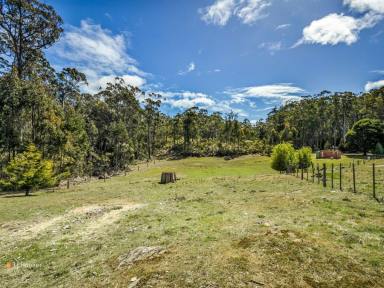 Farm Sold - TAS - Quoiba - 7310 - Acres of Opportunity  (Image 2)