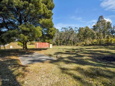 Farm Sold - TAS - Quoiba - 7310 - Acres of Opportunity  (Image 2)