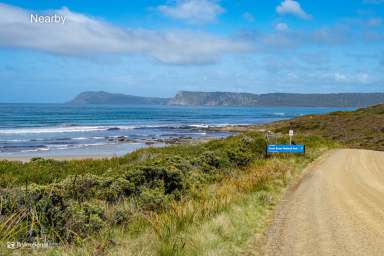 Farm For Sale - TAS - South Bruny - 7150 - Cloudy Bay Homestead - A Rare Organic Estate on Bruny Island  (Image 2)