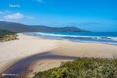 Farm For Sale - TAS - South Bruny - 7150 - Cloudy Bay Homestead - A Rare Organic Estate on Bruny Island  (Image 2)