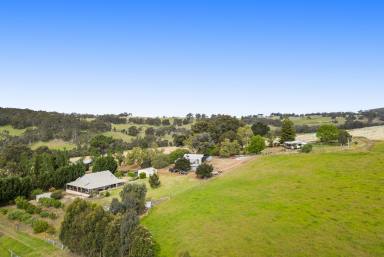 Farm For Sale - WA - Winnejup - 6255 - Australian homestead + cottage + 182 acres  (Image 2)