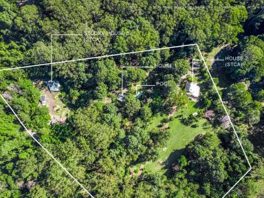 Farm Sold - NSW - Repentance Creek - 2480 - Multi-Dwelling Paradise on the Doorstep of the Nightcap National Park (entry off Fox Rd Rosebank)  (Image 2)